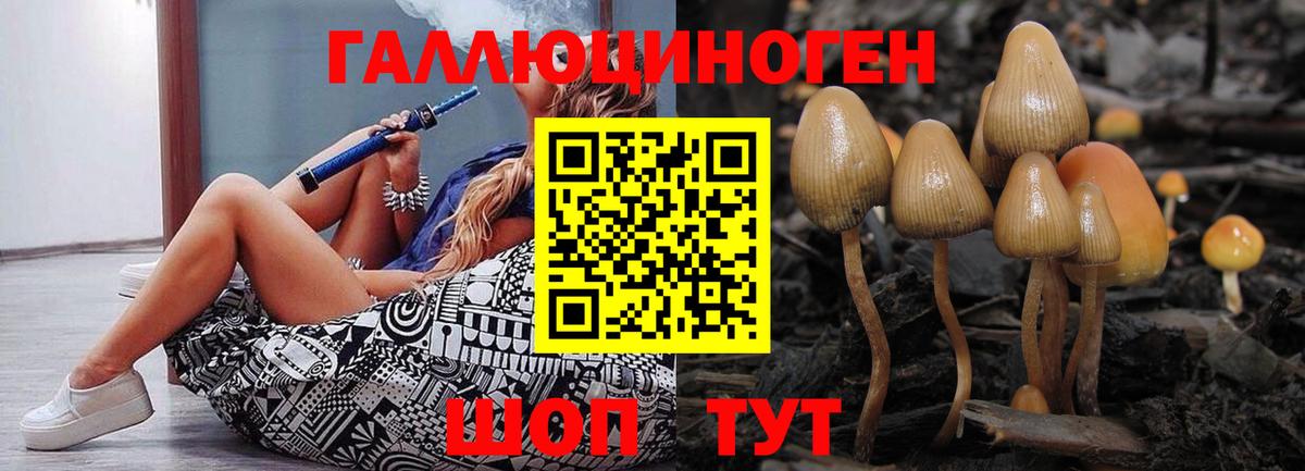 Первоуральск  Галлюциногенные грибы мицелий  Вход с VPN  Псилоцибиновые грибы прущие грибы 